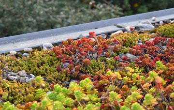 the cost of Ossemsley green roof installation