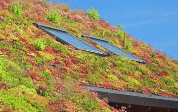 Ossemsley living roof systems