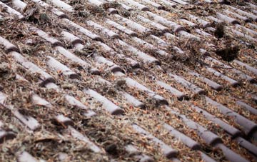 Ossemsley roof cleaning companies