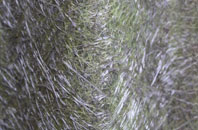 Ossemsley fibreglass roof work